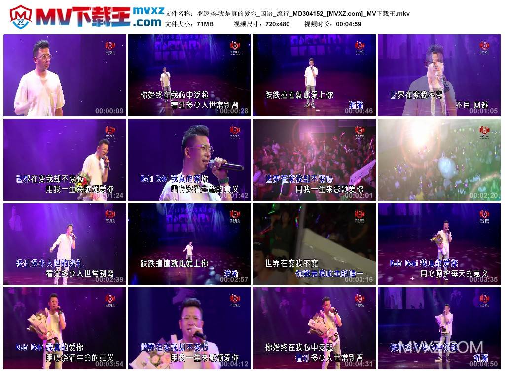 罗逻圣-我是真的爱你_国语_流行_MD304152